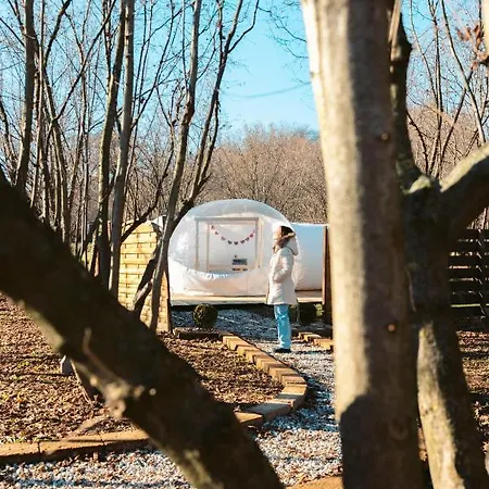 Luxury tent Bubble Room - Langhe